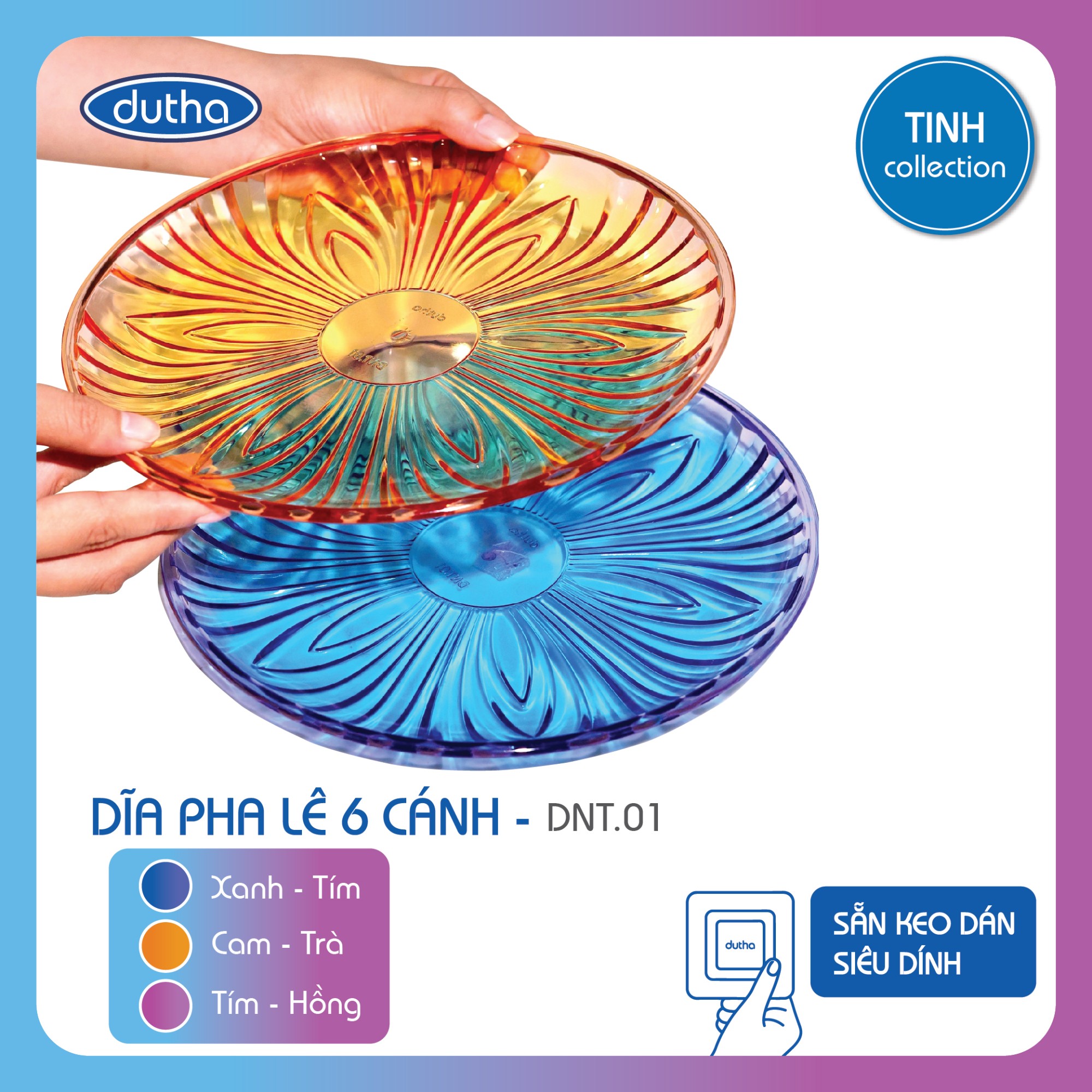 DĨA HOA 6 CÁNH ÁNH PHA LÊ (1)